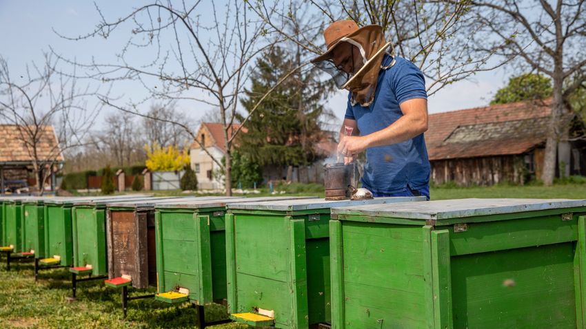 Magyarország méz- és méhszerető agrárország