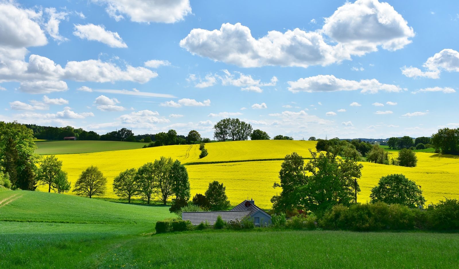 Közvetlen támogatások az agráriumban 2023 után