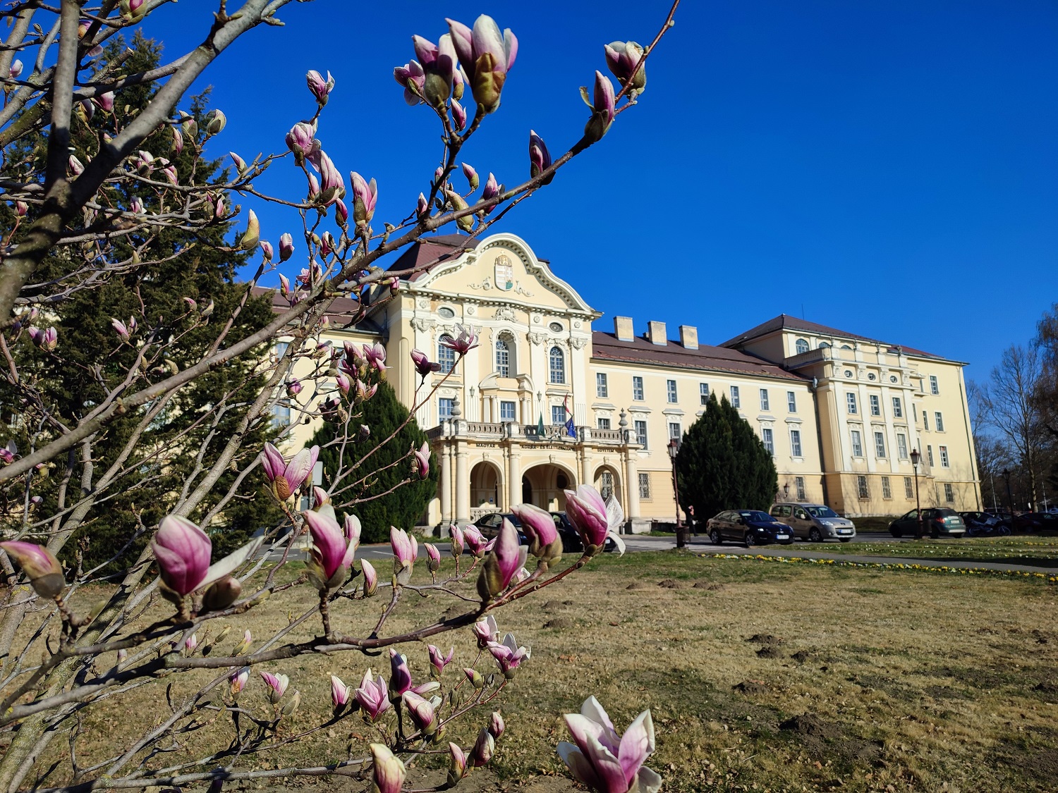 Két év alatt 100 helyet javított a MATE a QS agrártudományi rangsorában