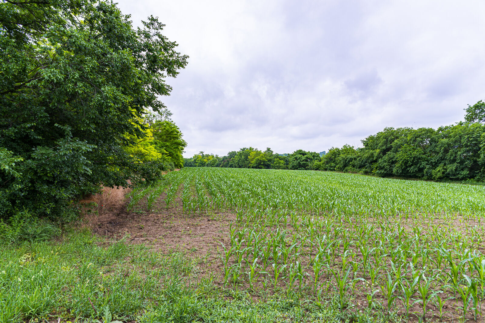 Jó a környezetnek és jó a gazdának: Agro-ökológiai Program a 2023-27-es támogatási időszakban