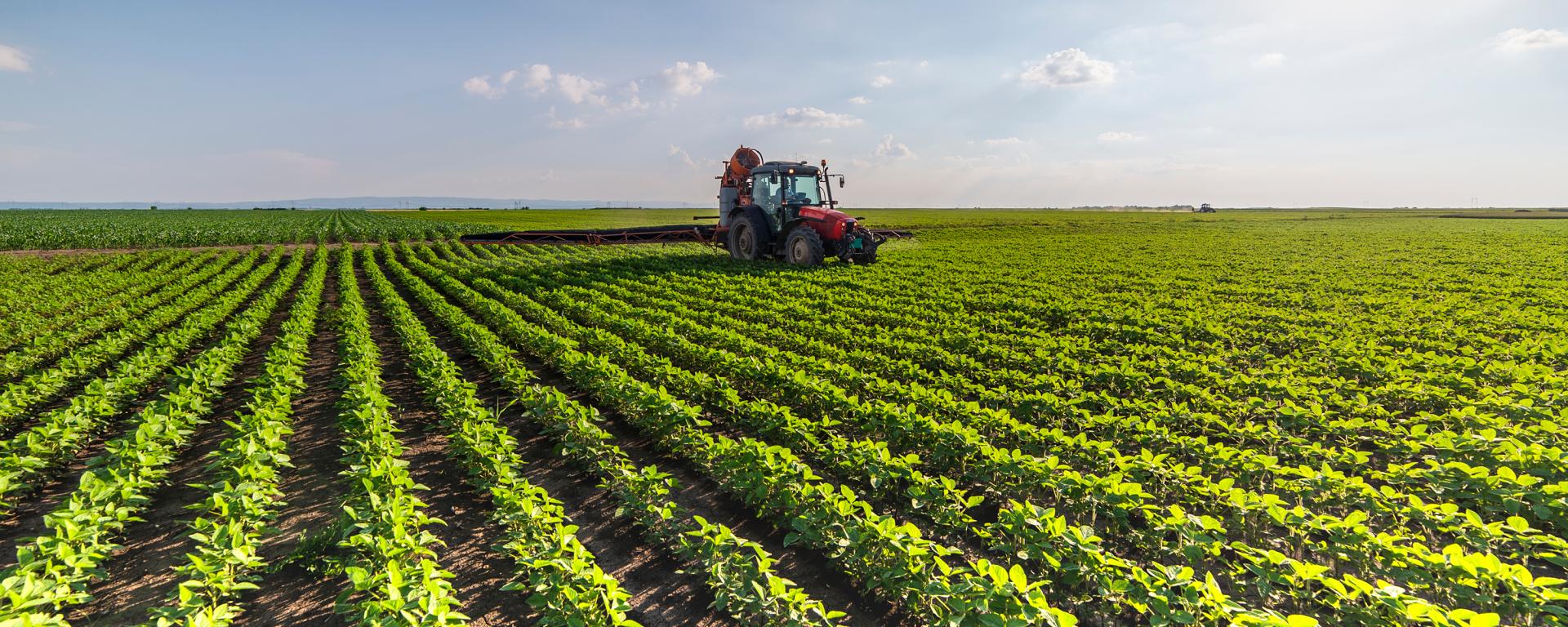 Újra elérhetőek az MFB agrár hitelprogramok