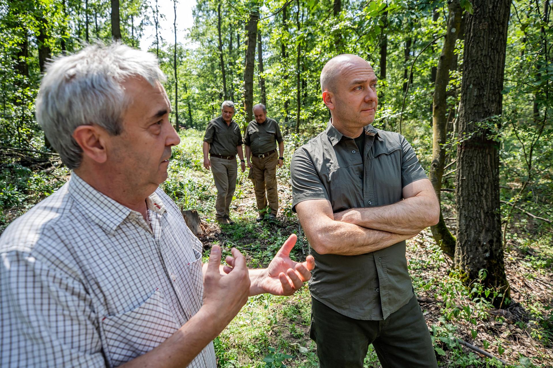 Magyarország továbbra is kiemelt figyelmet fordít az erdőállomány védelmére