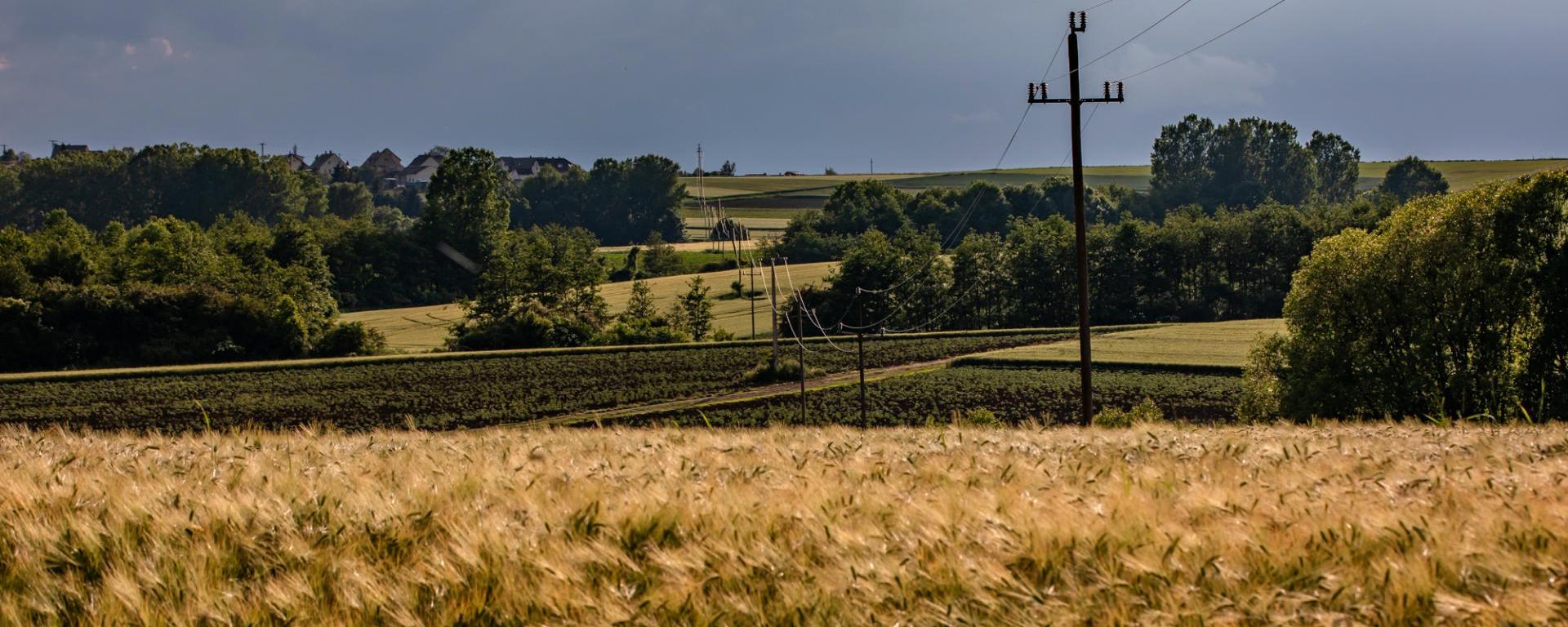 Tudnivalók az Agro-ökológiai Programról