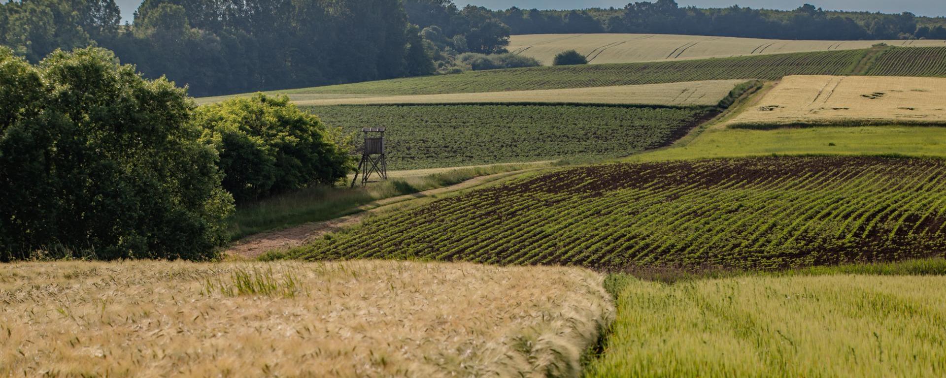 Október közepén indul az agrártámogatások előlegfizetése