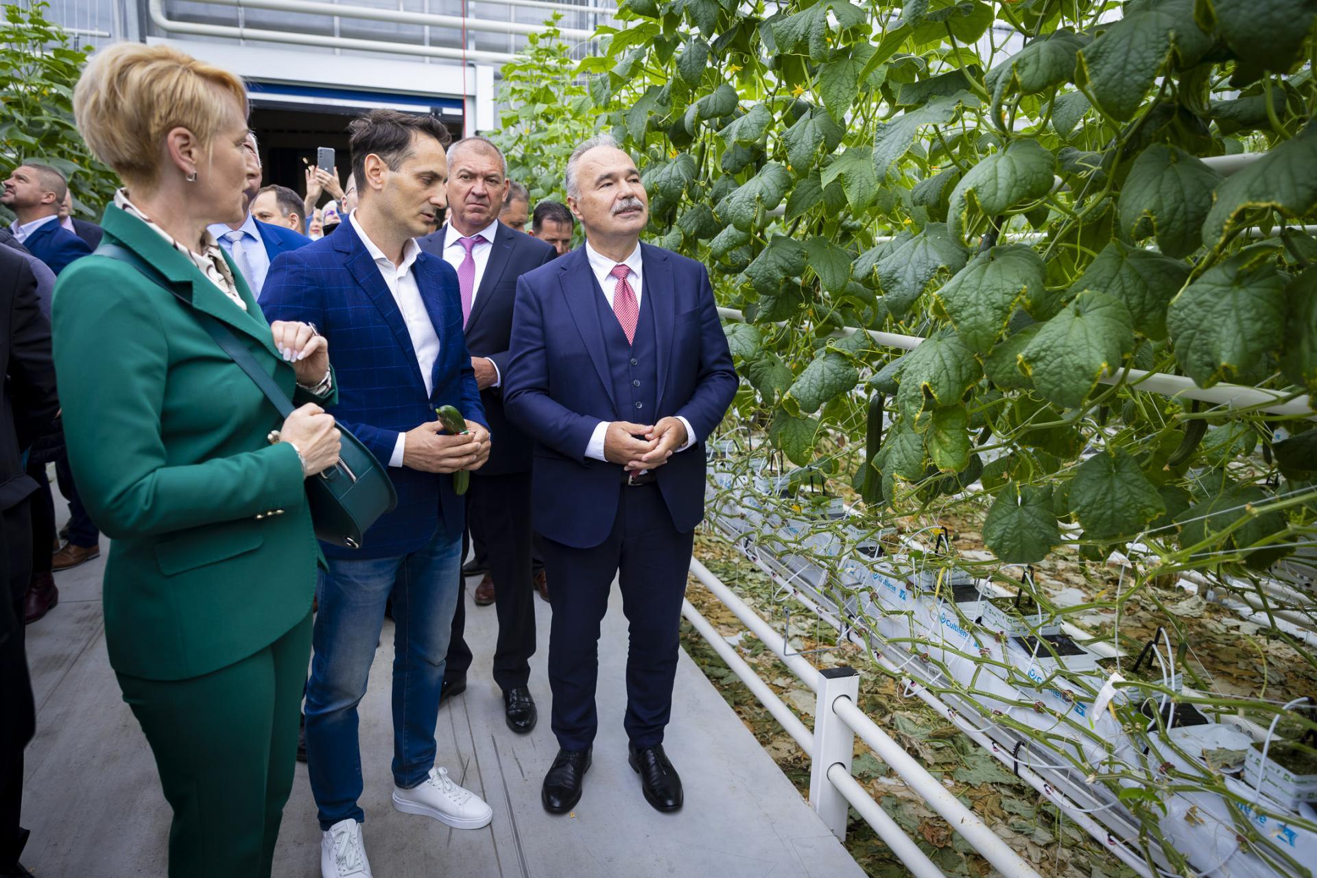 Átadták hazánk legnagyobb uborkatermesztő üvegházát