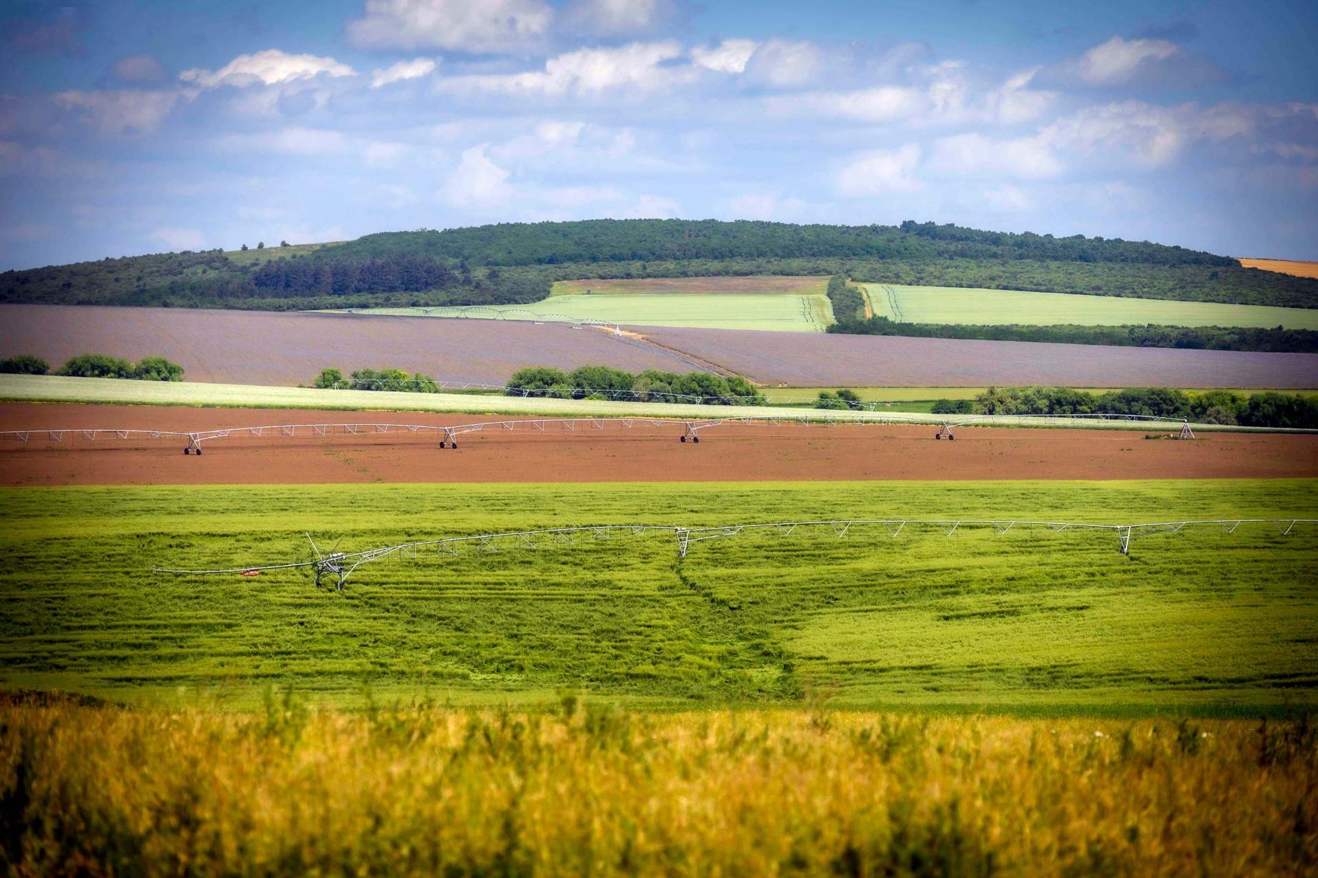 10,8 milliárd forint értékben születtek újabb agrárberuházási döntések