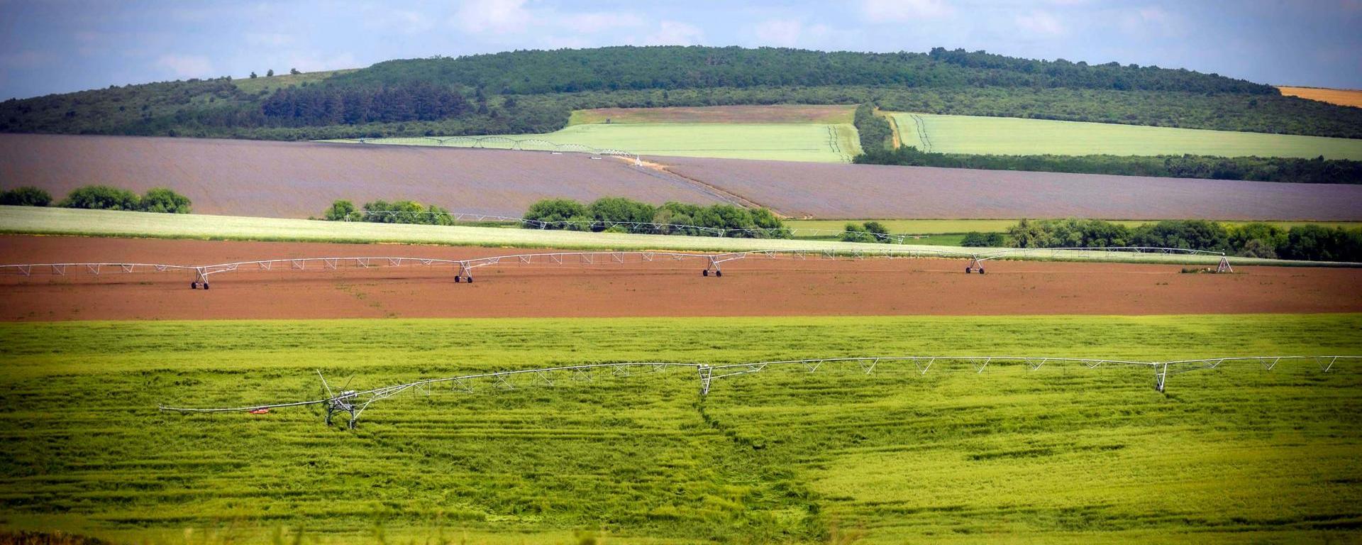 Az Agro-ökológiai Program első évének eredményei és tapasztalatai