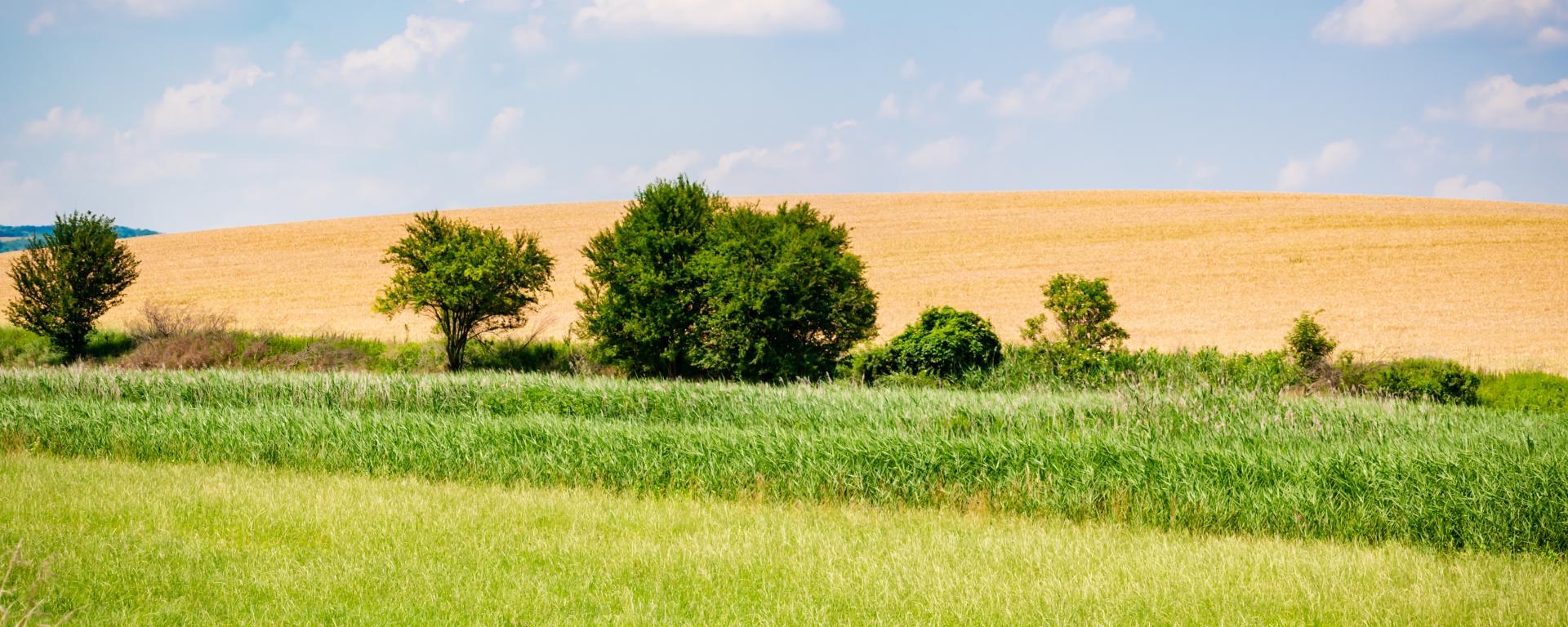 Megjelent az új agrár-környezetgazdálkodási támogatás pályázati felhívása